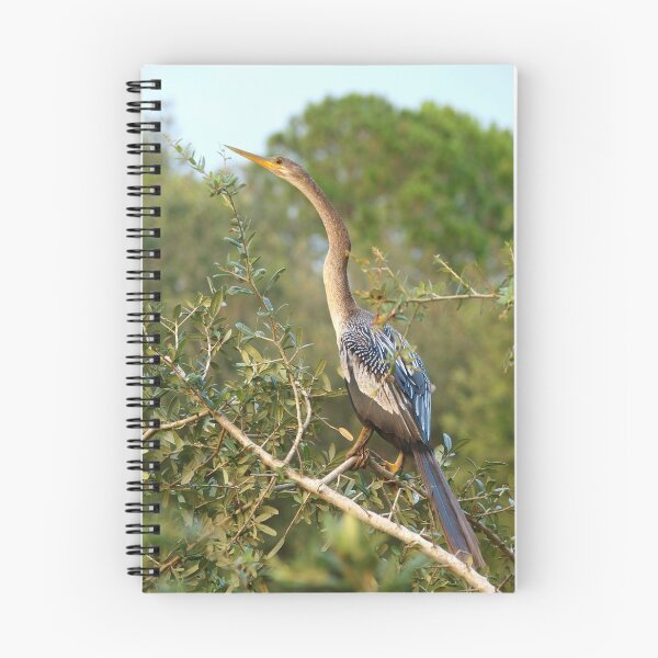 Item preview, Gorgeous anhinga designed and sold by B. Randi Bailey.