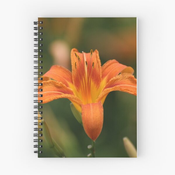 Item preview, Orange Tiger Lily designed and sold by Gilda Axelrod.