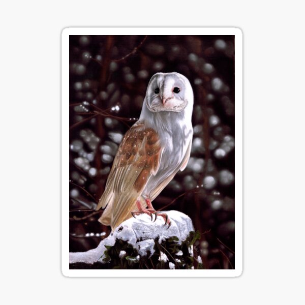 Barn Owl painting Sticker