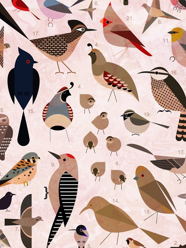 Sonoran Birds by scottpartridge