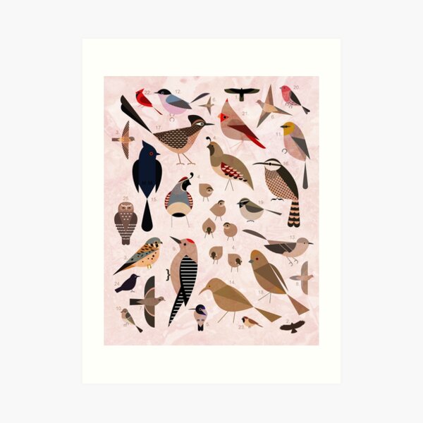 Sonoran Birds Art Print