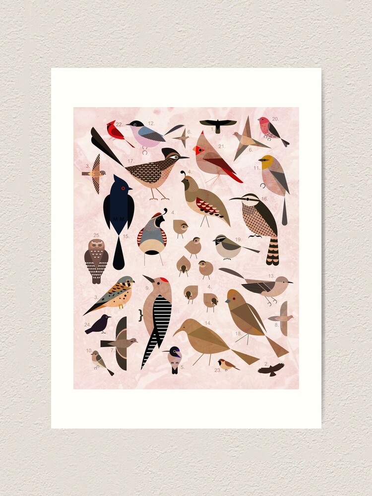 Alternate view of Sonoran Birds Art Print