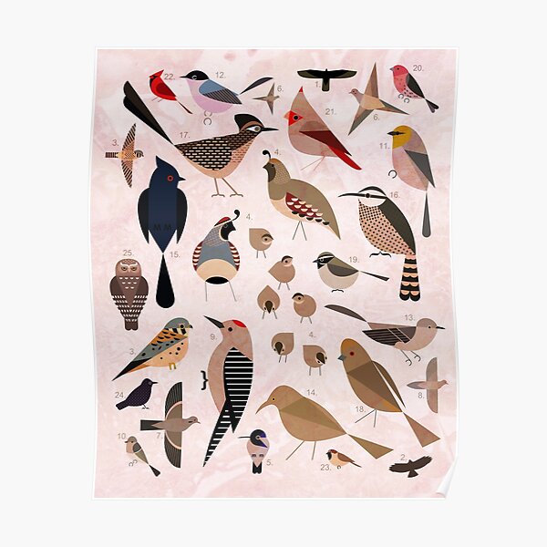 Sonoran Birds Poster