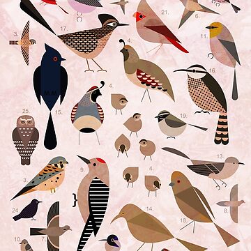 Artwork thumbnail, Sonoran Birds by Scott Partridge