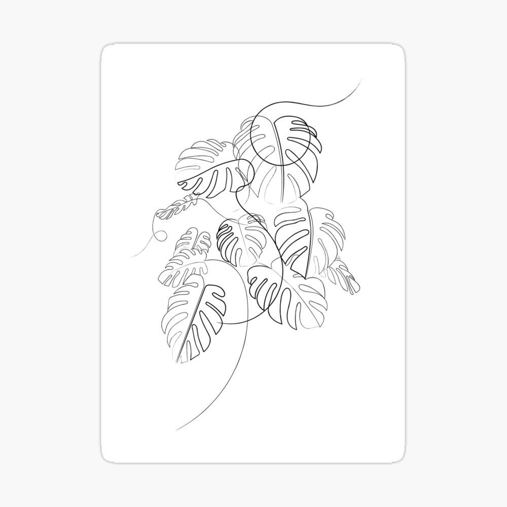 Impression Sur Toile Feuilles De Plantes De Fromage Dessin Au Trait Par Adamregester Redbubble