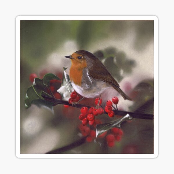 Winter Robin and Berries Sticker