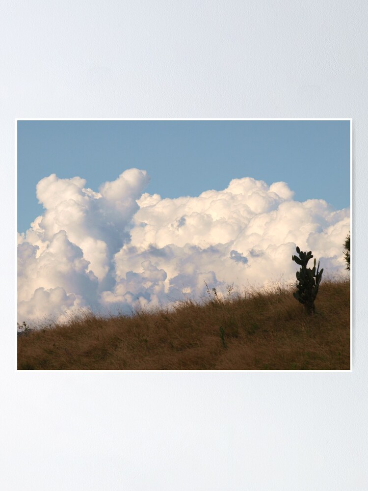 Alternate view of Just a bit of Fluff on the horizon, via Mt Barney Poster