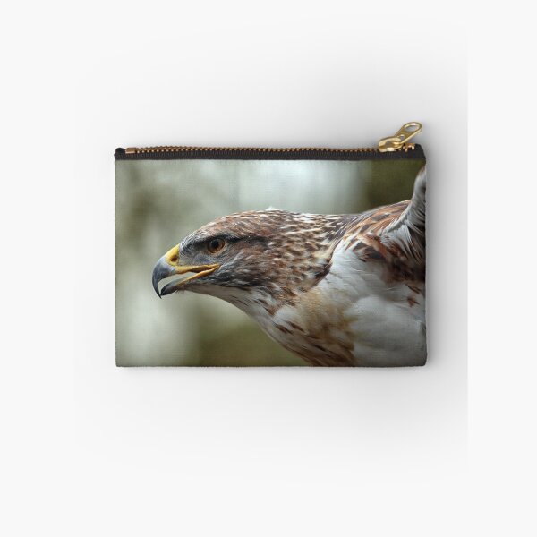Item preview, Ferruginous Hawk, Buteo regalis designed and sold by Philip Butler.