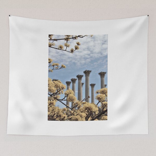 Item preview, Capital Columns - National Arboretum - Washington, DC designed and sold by searchlight.