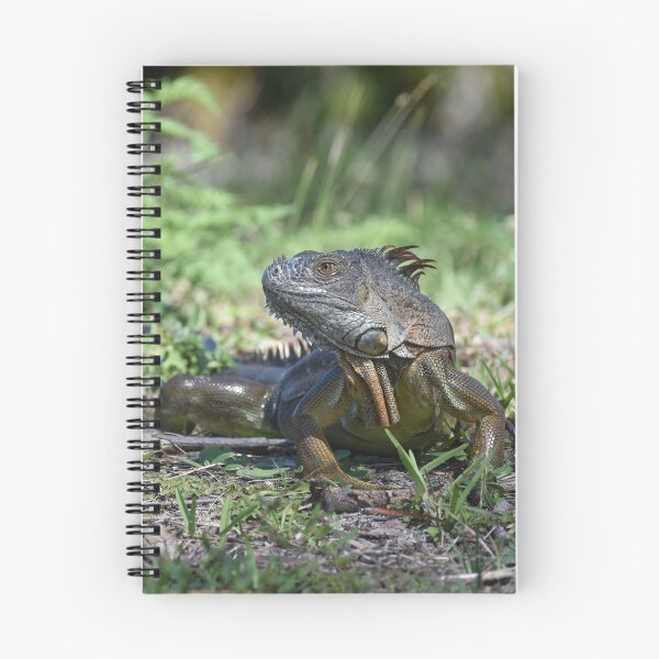 Item preview, Iguana Profile designed and sold by Susan Wallace.