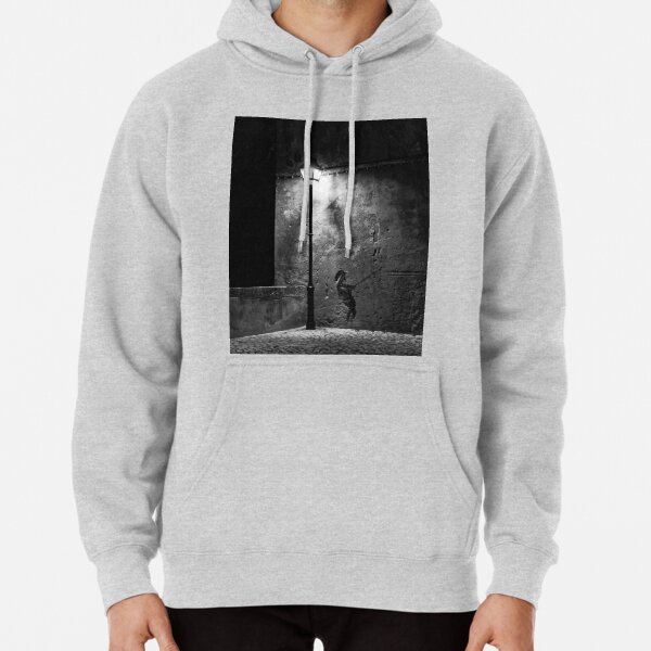 Light and shade Pullover Hoodie