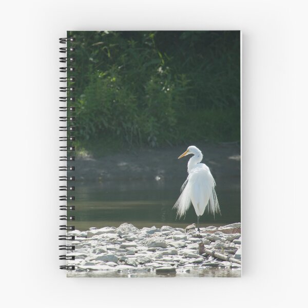 Item preview, Finely Feathered designed and sold by EugeJ.