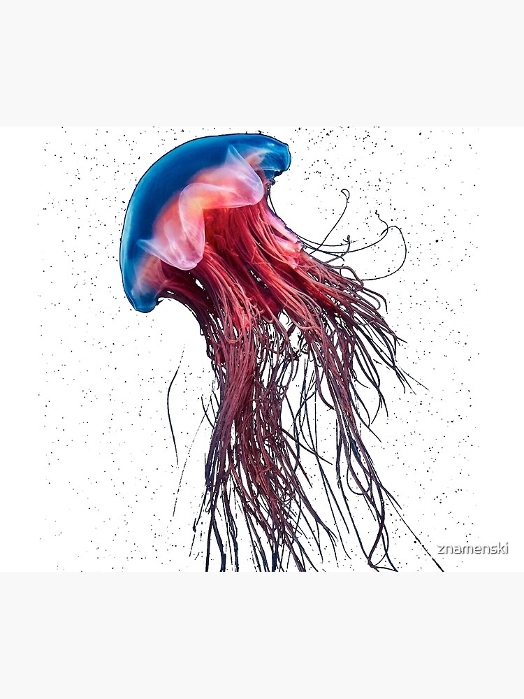 #Jellyfish #Cnidaria #Bioluminescence #Invertebrate underwater science biology fish aquarium swimming by znamenski