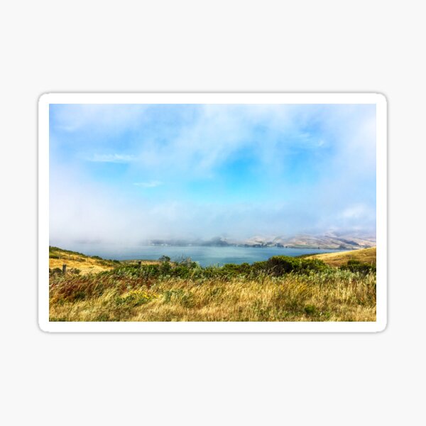 California Fog Sticker
