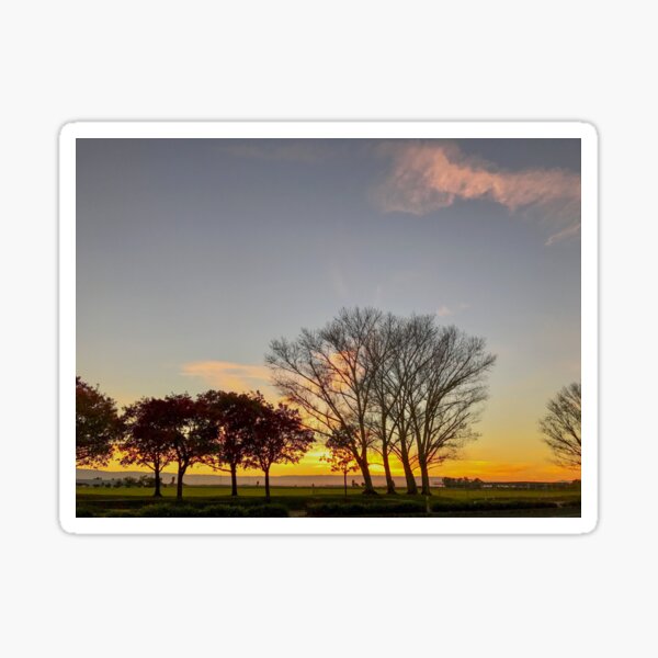 Fall trees at sunset Sticker