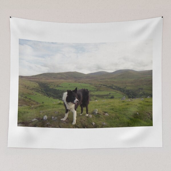 Item preview, Indy on top of Dinas designed and sold by Michael Haslam.
