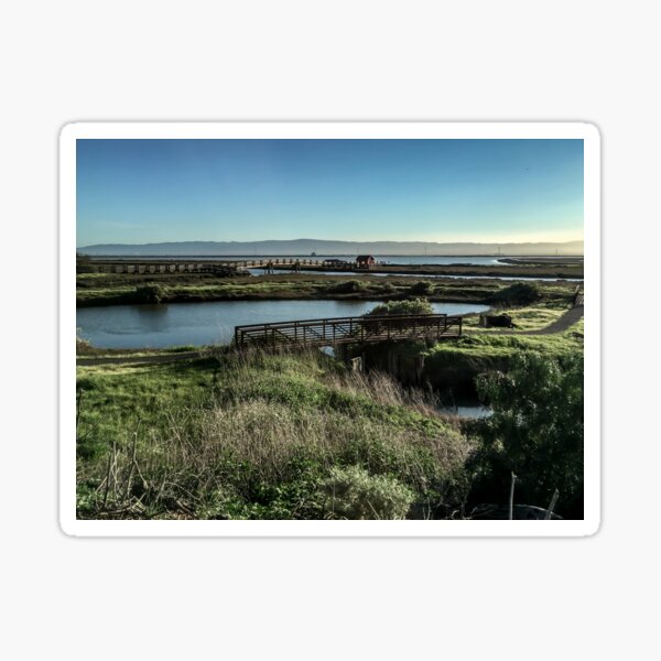 Bridges on a path in California wetland Sticker