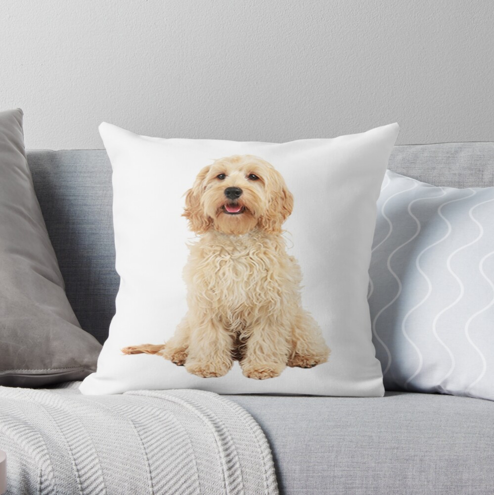 cockapoo pillow