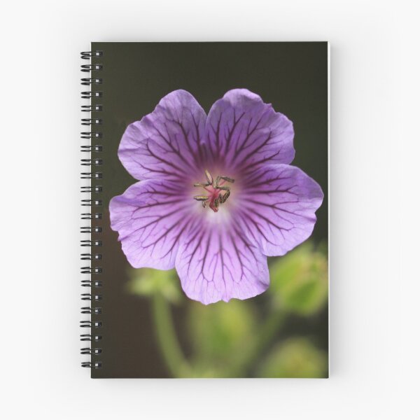 Item preview, Wild geranium designed and sold by Derek Corner.