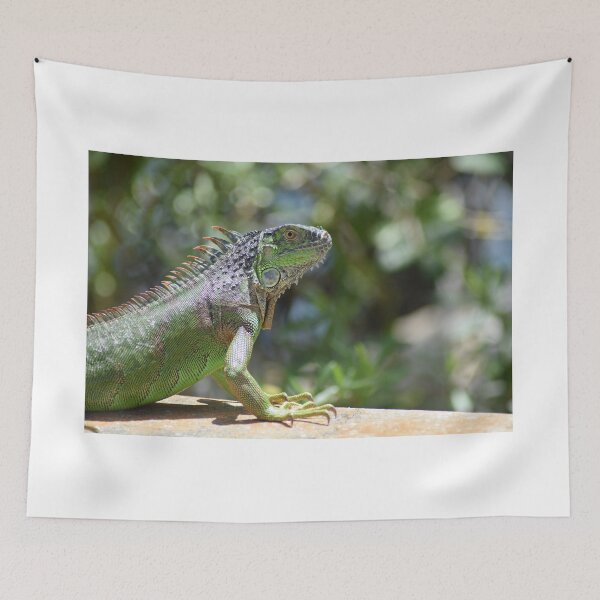 Item preview, Iguana designed and sold by rthornberry.