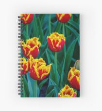 Etwas über Tulpen Spiralblock