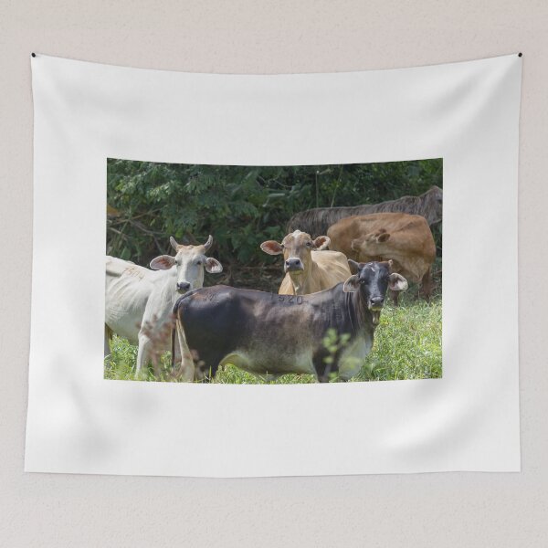 Item preview, cow designed and sold by ricobarinas.