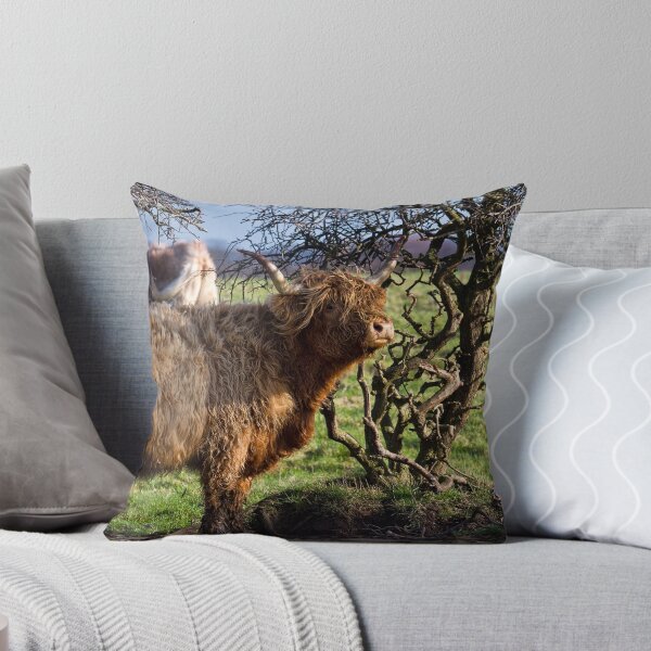 Item preview, Highland Cattle and a gnarled tree designed and sold by Violaman.