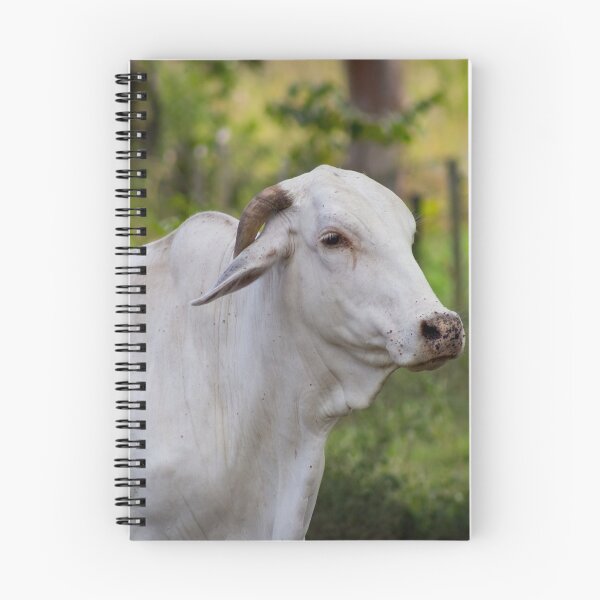Item preview, cow designed and sold by ricobarinas.