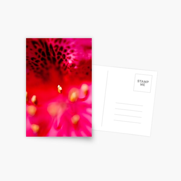 Rhododendron detail Postcard
