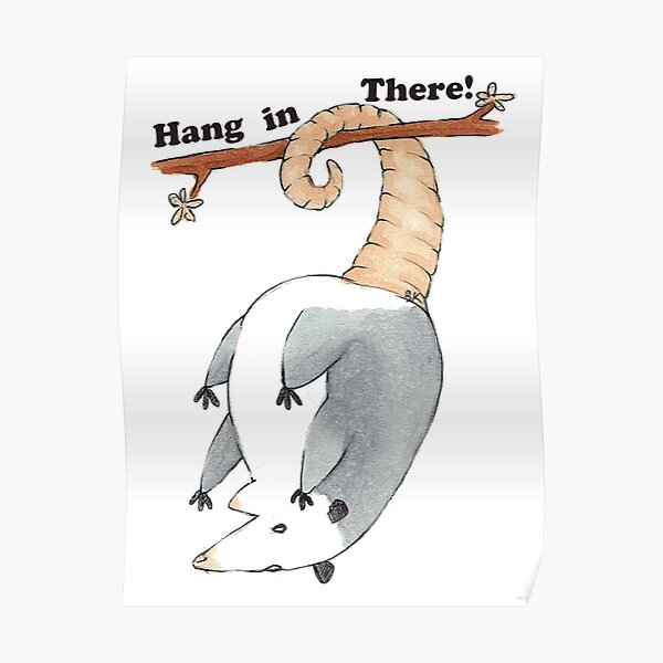 Hang In There Possum Poster