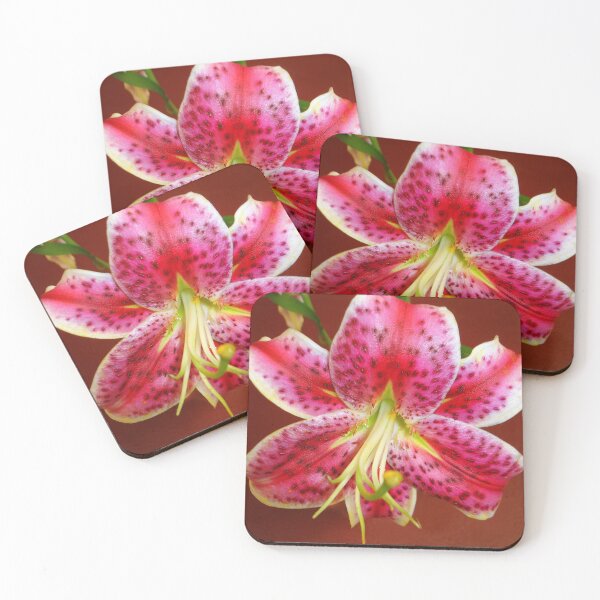 Item preview, Star Gazer Lily designed and sold by Shelley Loewnau-Jones Studio.