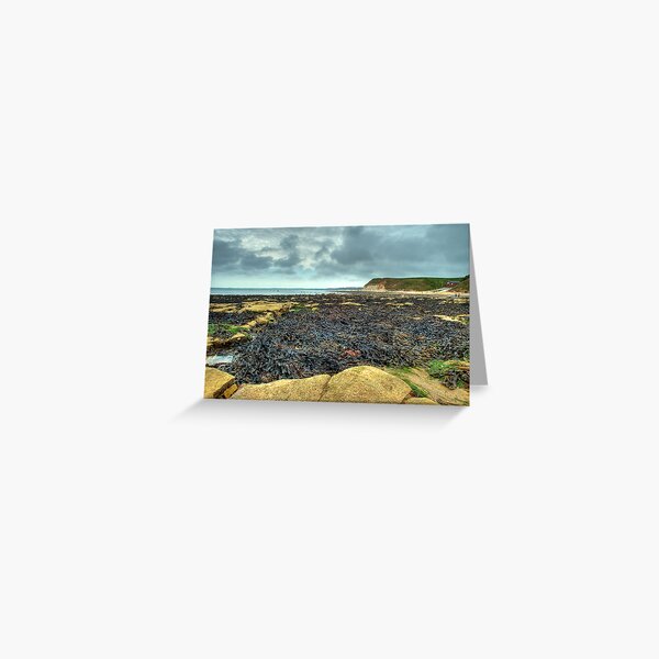 South Landing, Flamborough – looking towards Bridlington Greeting Card