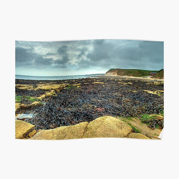 South Landing, Flamborough – looking towards Bridlington Poster