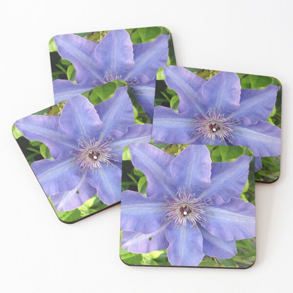 Item preview, Blue Clematis designed and sold by Shelley Loewnau-Jones Studio.