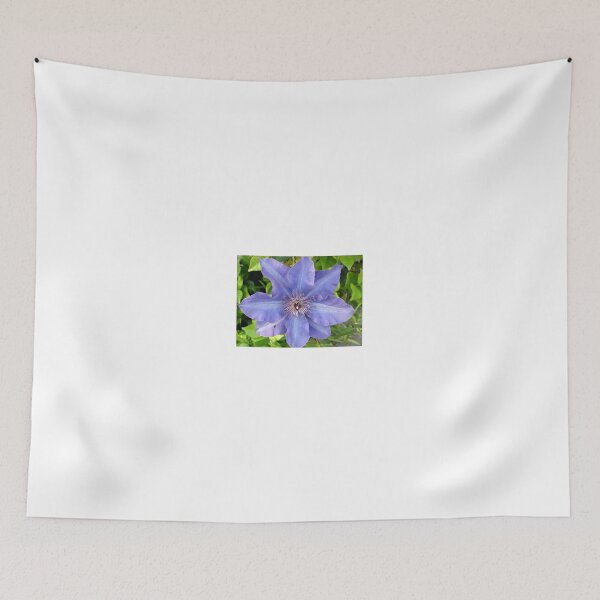 Item preview, Blue Clematis designed and sold by Shelley Loewnau-Jones Studio.
