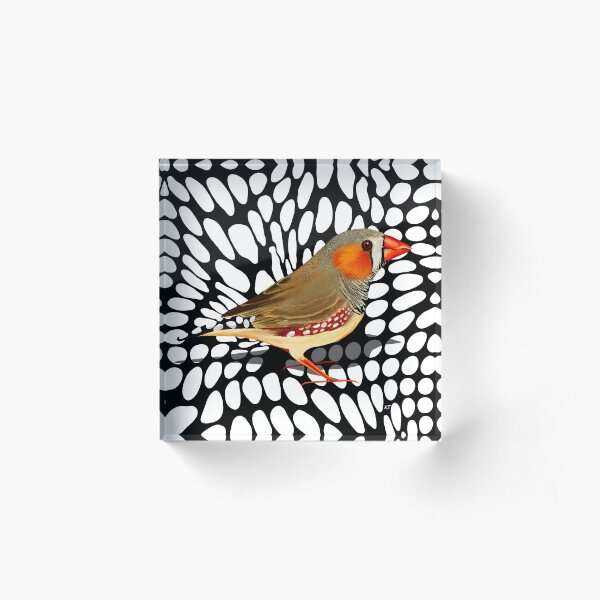 Zebra Finch Acrylic Block