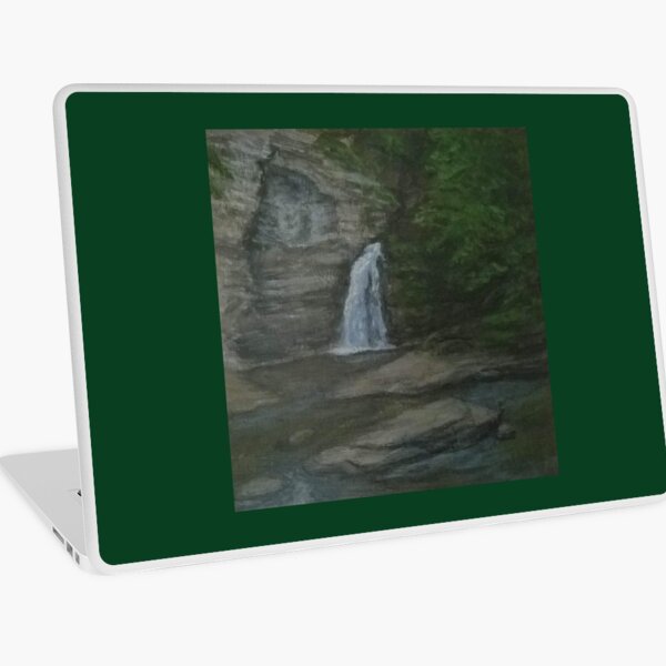 Eagle Cliff Falls Laptop Skin