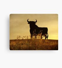 ElToro2 Leinwanddruck