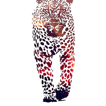 Artwork thumbnail, universal leo by Raeolus