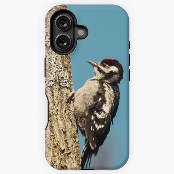 Little Woodpecker iPhone Tough Case