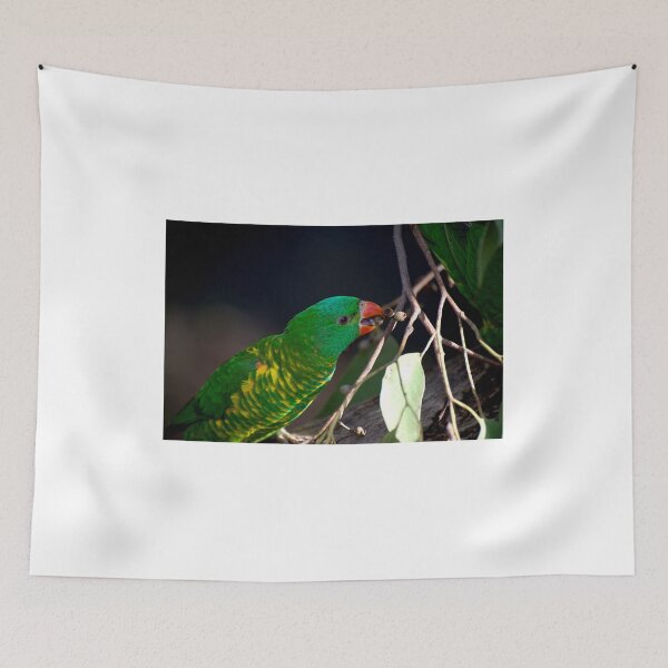 Item preview, Nuts! designed and sold by GP1746.