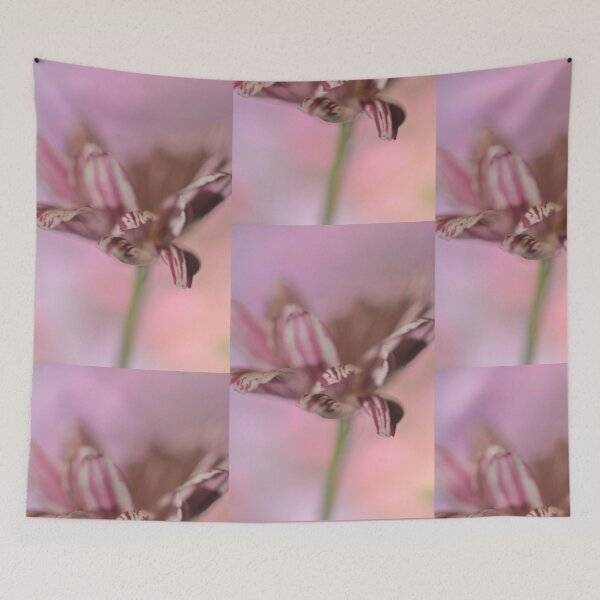 Item preview, Pirouette designed and sold by duncandragon.