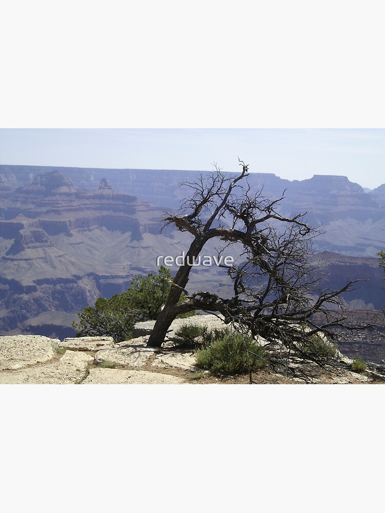 Grand Canyon - South Face by redwave