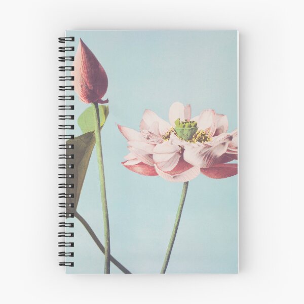Item preview, Lotus Blossom, Ogawa Kazumasa designed and sold by reasonablemunki.