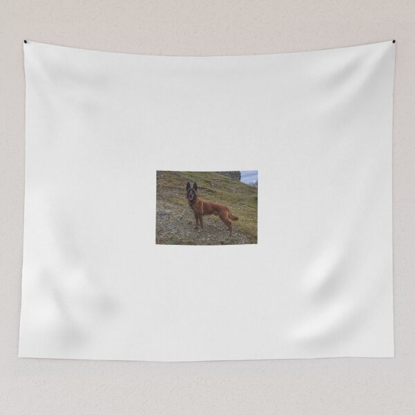 Item preview, Malinois  designed and sold by Mat Dixon.