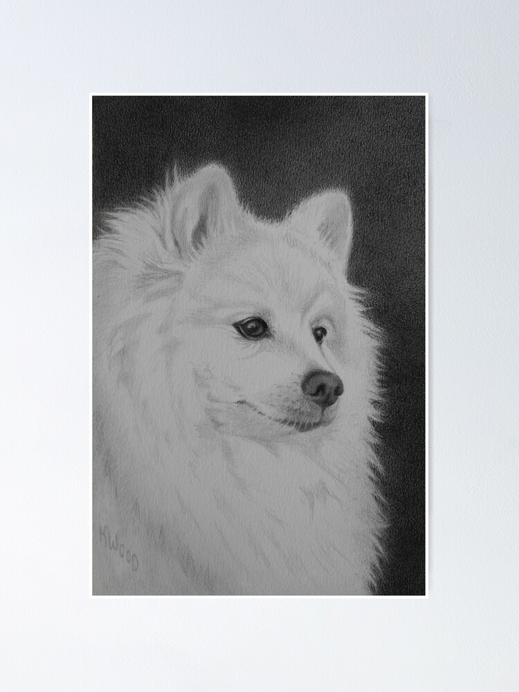 Japanese Spitz Poster By Karenwoodart Redbubble