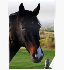 Nobility Poster
