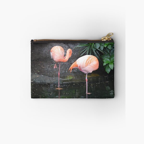 Item preview, National Aviary Pittsburgh Series - 3 designed and sold by sarahshanely.
