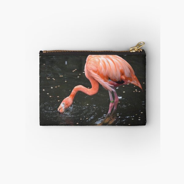 Item preview, National Aviary Pittsburgh Series - 4 designed and sold by sarahshanely.