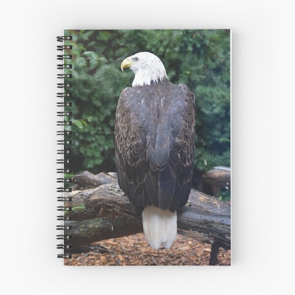 Item preview, National Aviary Pittsburgh Series - 5 designed and sold by sarahshanely.